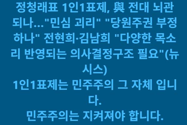 민주당 '1인1표제 보완' 놓고 정청래와 전현희·김남희 공방 : 전당대회 앞두고 전선 형성 중 