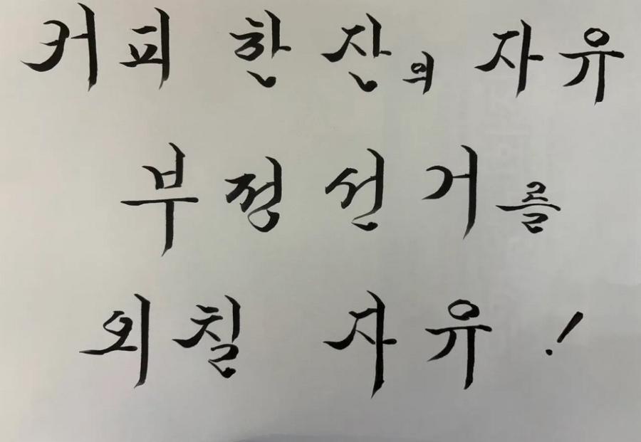 장동혁은 직접 만든 '부정선거' 피켓 들고 나경원은 태극기 칠하고 : 국힘 의원들이 '올공'으로 달려간다