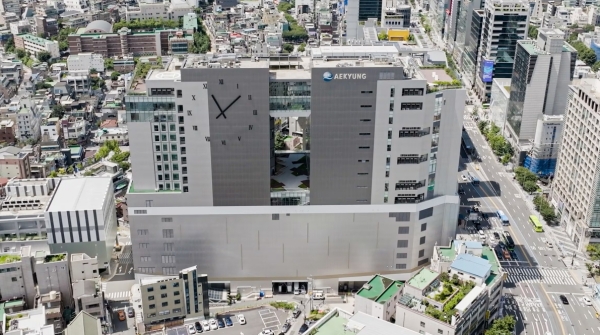 태광그룹 화장품 사업은 이호진 딸 이현나 몫? 애경산업 포함 '뷰티 삼각편대' 확장에서 포착되는 승계 지원 움직임
