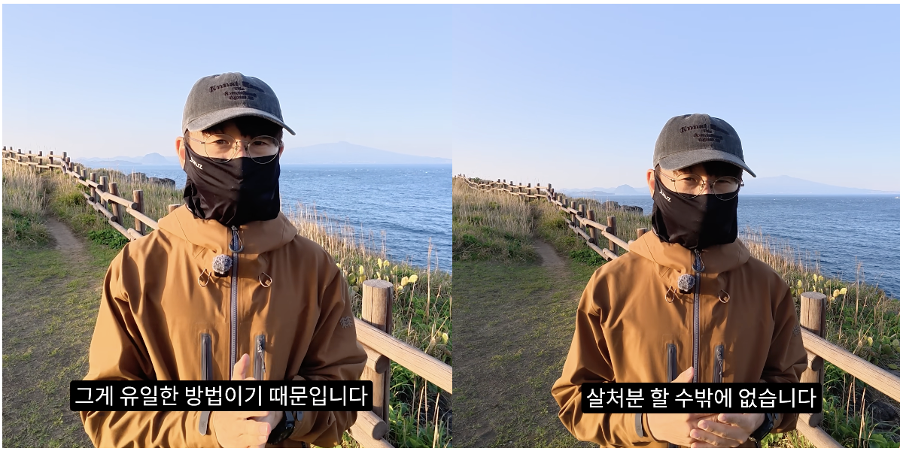 [허프 생각] 유튜버 새덕후의 '길고양이 살처분' 주장, 13일 만에 국회 의제로 : '혐오'가 고양이를 향한다 