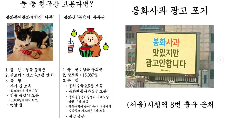 뉴욕 타임스스퀘어 ‘봉화사과’ 광고 걸었던 봉화군 공무원 SNS 중단 : '지자체 홍보 스타' 퇴근 후 악성 댓글에 멍든다