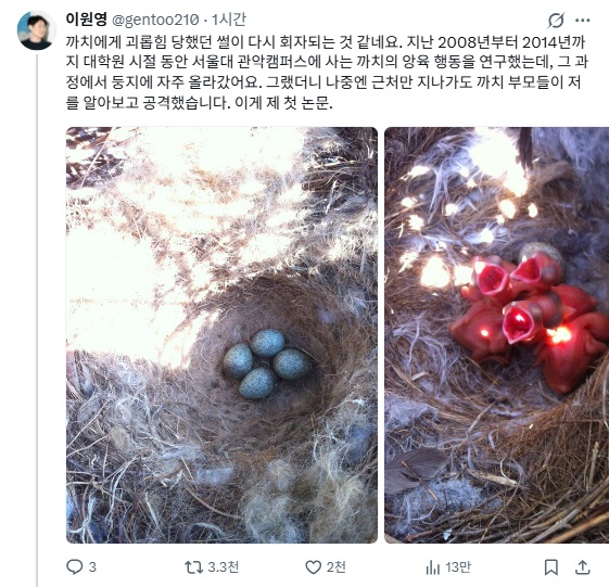 [허프 사람&말] 까치에게 밉보였던 연구자 : 최재천 교수의 제자 이원영 박사는 펭귄 연구하려 남극으로 갔다