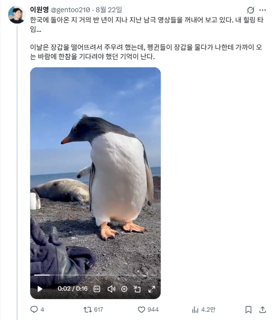 [허프 사람&말] 까치에게 밉보였던 연구자 : 최재천 교수의 제자 이원영 박사는 펭귄 연구하려 남극으로 갔다