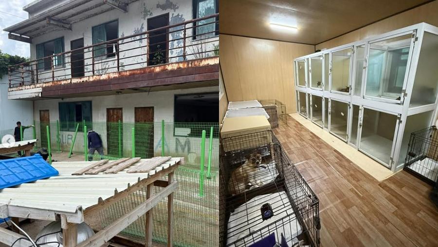 ‘죽음의 보호소’ 된 장흥군 유기동물 보호시설 : 냉동고에서 170마리 이상 사체 발견됐다