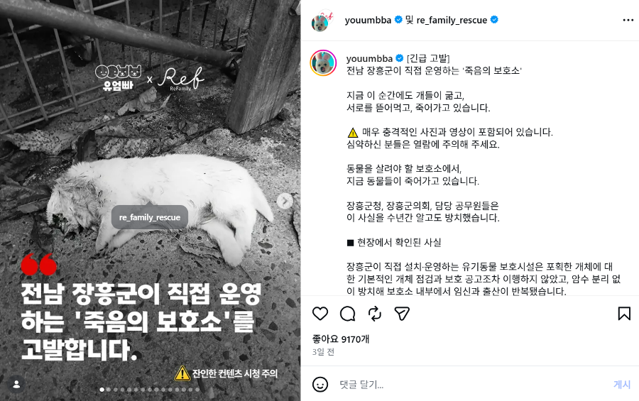 ‘죽음의 보호소’ 된 장흥군 유기동물 보호시설 : 냉동고에서 170마리 이상 사체 발견됐다