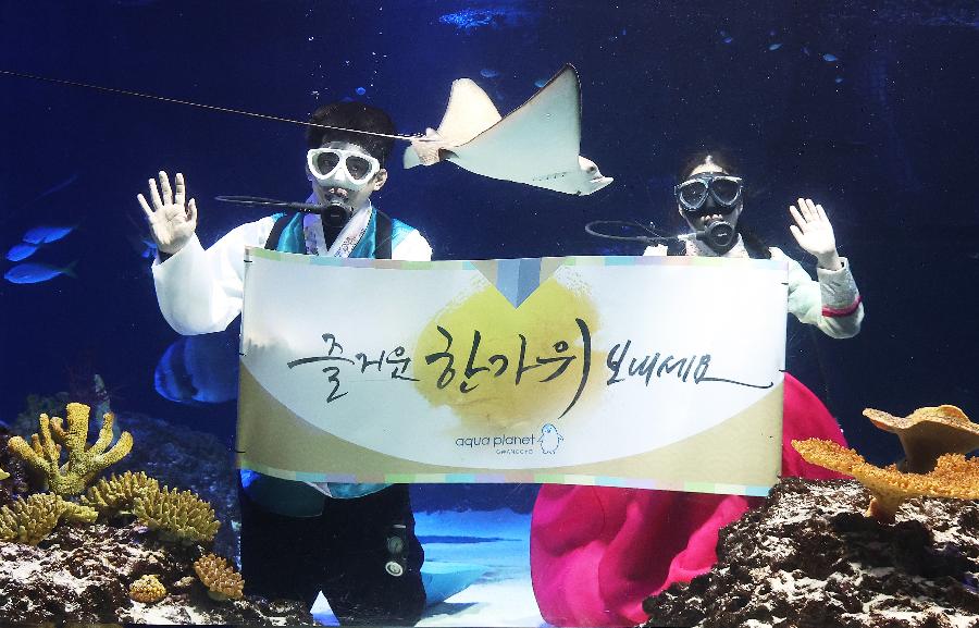 명절에 혼자 있으면 어때서요? 나만의 시간 보내는 추석, '혼추족'이 뜬다