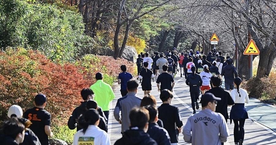 '러닝 로드'가 서울 도심 상권 바꾼다 : 경복궁·서촌·북촌 따라 스포츠 매장과 카페 들어서는 중