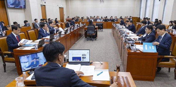 10월 국정감사 앞두고 기업인 증인 채택 속속 : 정무위 단일종목 레버리지 ETF 놓고 여야 대치