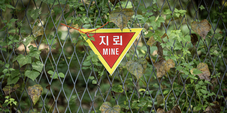 이 대통령, DMZ 지뢰 사태 속에서 'SNS 신경전' 이어간다 : 국정 운영의 우선순위에 의문 낳는다