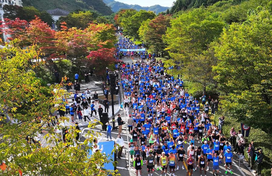  결승선 500m 앞에서 쓰러진 20대 러너의 비보 : 개인 최고 기록보다 고강도 러닝보다 중요한 '나만의 속도'  