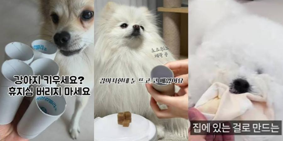 다 쓴 휴지심, 당근마켓에서 불티나게 팔린다 : 지혜로운 '중고 거래'가 환경도 살리고, 내 지갑도 살린다