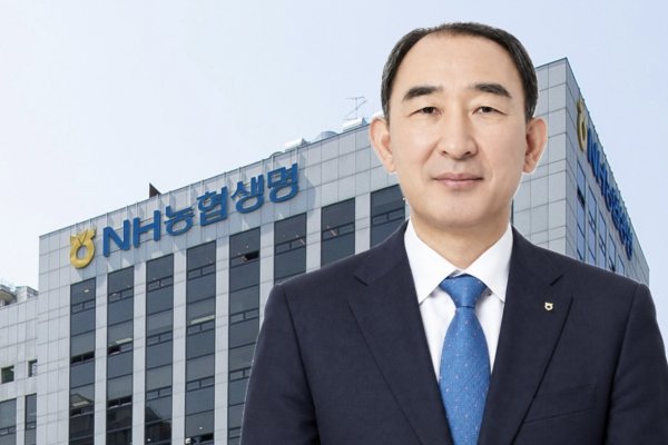 NH농협생명 박병희 연임 심사 눈앞에서 곤두박질 친 '현재' 실적 : 미래 보장할 CSM 늘었지만 '판매망 특례' 곧 종료